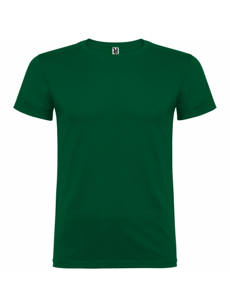 t-shirt-beagle-colorata-verde bottiglia.jpg